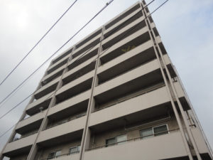 ピアザ昭和外観